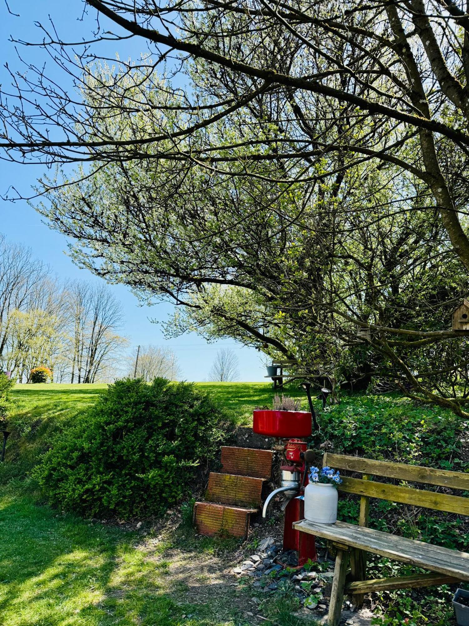 拉里米兹住宿加早餐旅馆 纳沙托 外观 照片